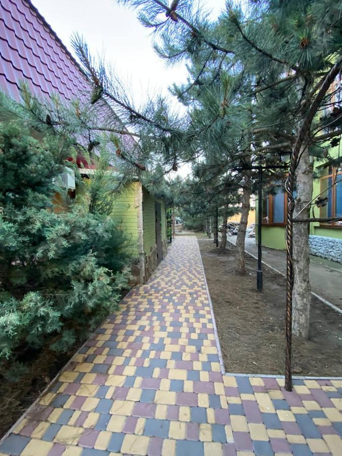 Villa Sosnovy Bor Zatoka Ngoại thất bức ảnh