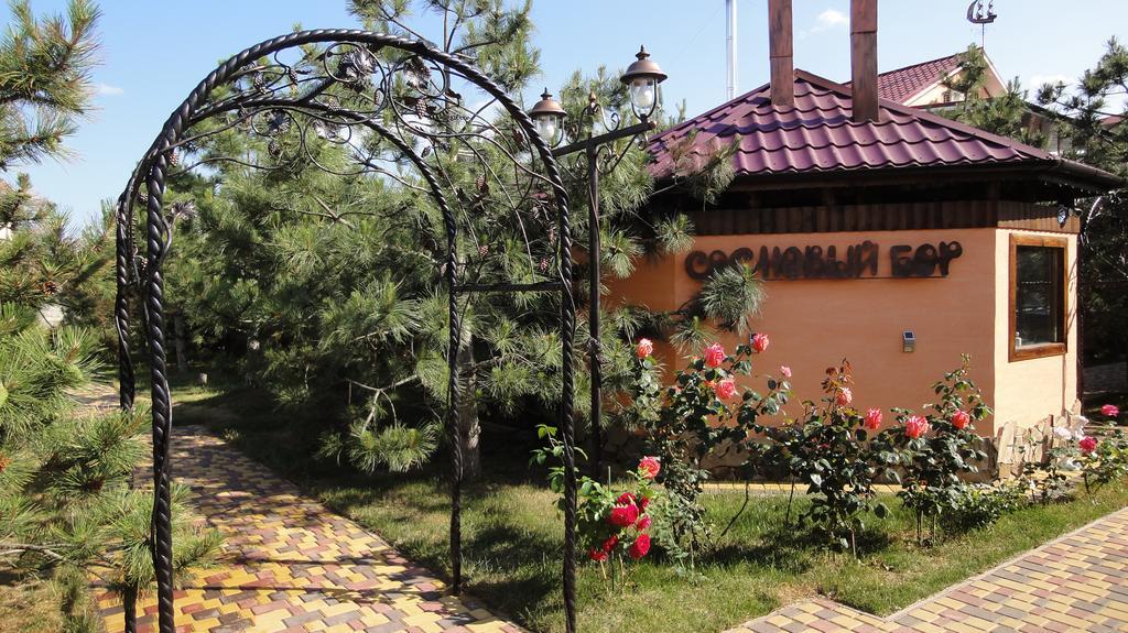 Villa Sosnovy Bor Zatoka Ngoại thất bức ảnh