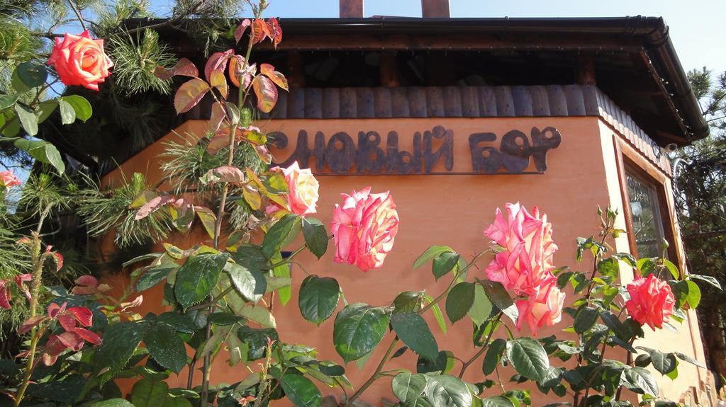 Villa Sosnovy Bor Zatoka Ngoại thất bức ảnh