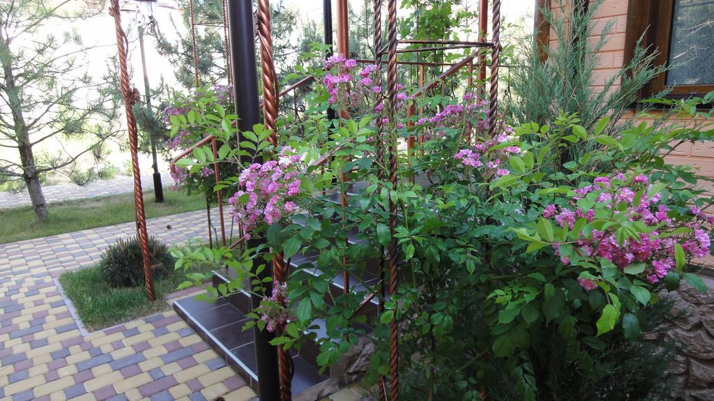Villa Sosnovy Bor Zatoka Ngoại thất bức ảnh