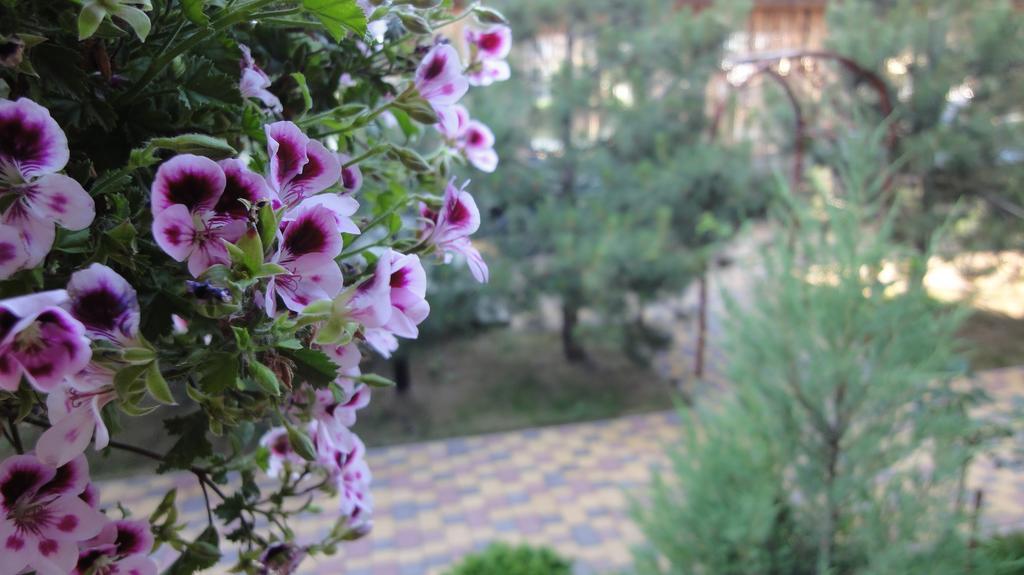Villa Sosnovy Bor Zatoka Ngoại thất bức ảnh