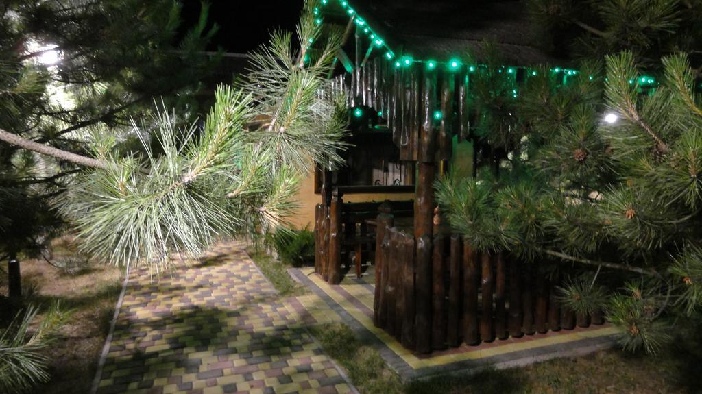 Villa Sosnovy Bor Zatoka Ngoại thất bức ảnh