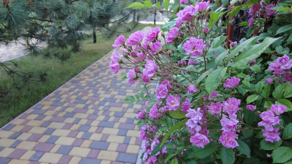 Villa Sosnovy Bor Zatoka Ngoại thất bức ảnh